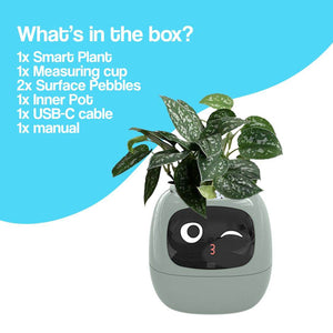 Meet Ivy - ChatGPT Powered GrowBuddy Smart Plant Care System