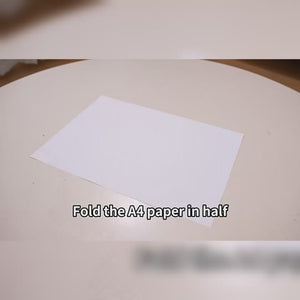 Paper Airplane